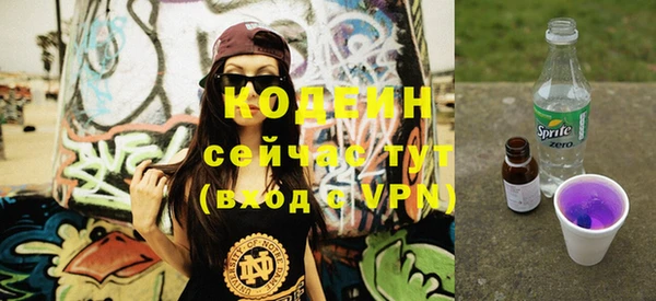 сатива Дмитриев