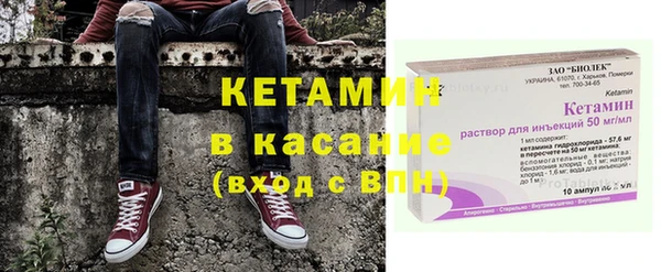 сатива Дмитриев