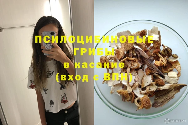 сатива Дмитриев