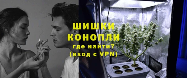 сатива Дмитриев