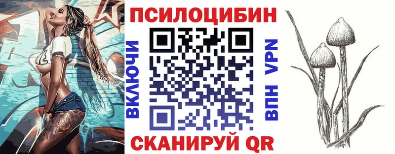 Купить где  Юрга  Псилоцибиновые грибы MAGIC MUSHROOMS 